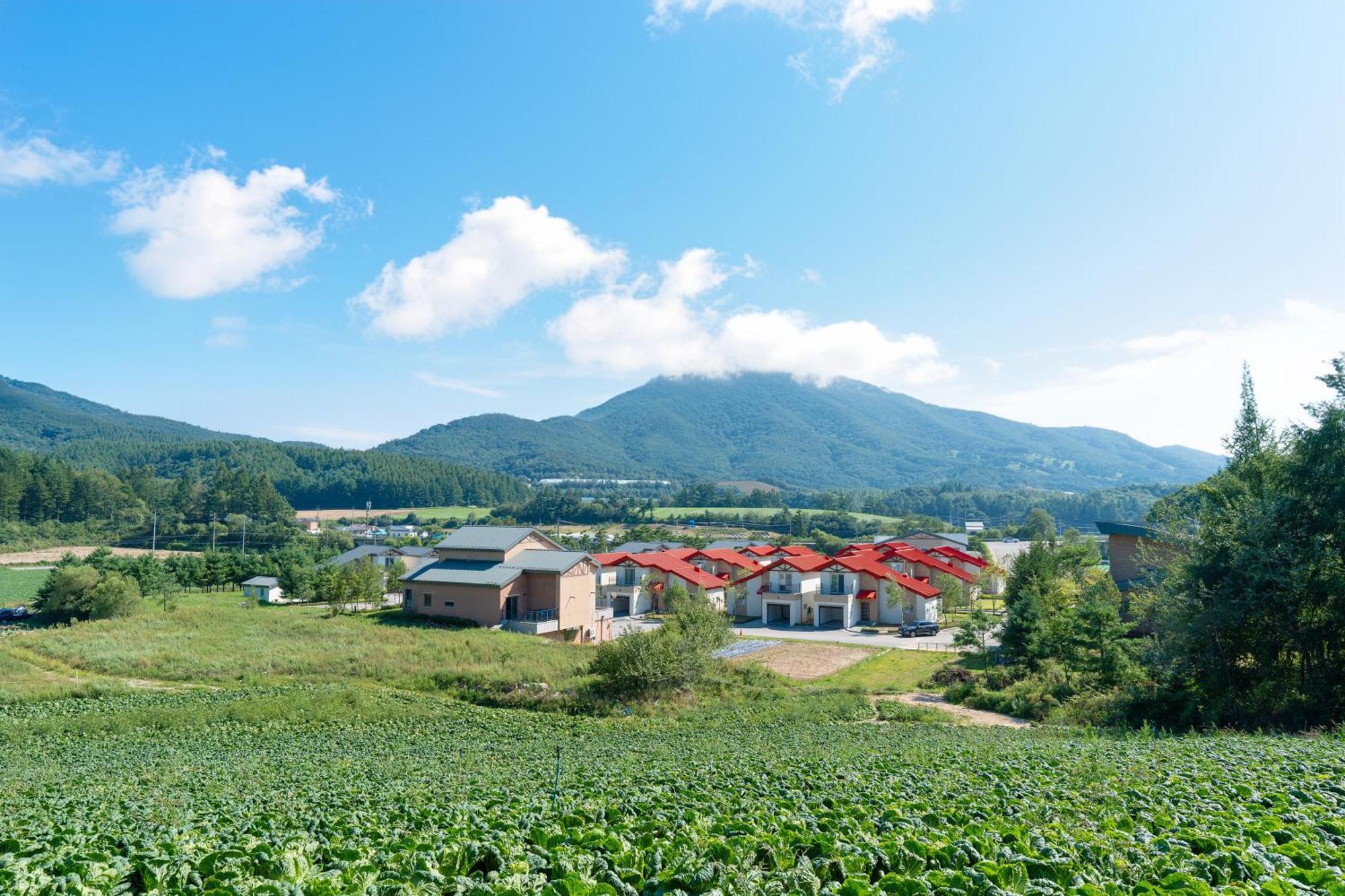 Le Comte Bleu Hotel Pyeongchang Eksteriør billede